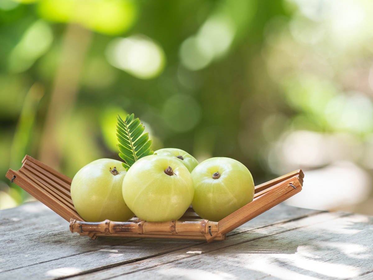 Read more about the article Benefits of Pansari Amla Pachak